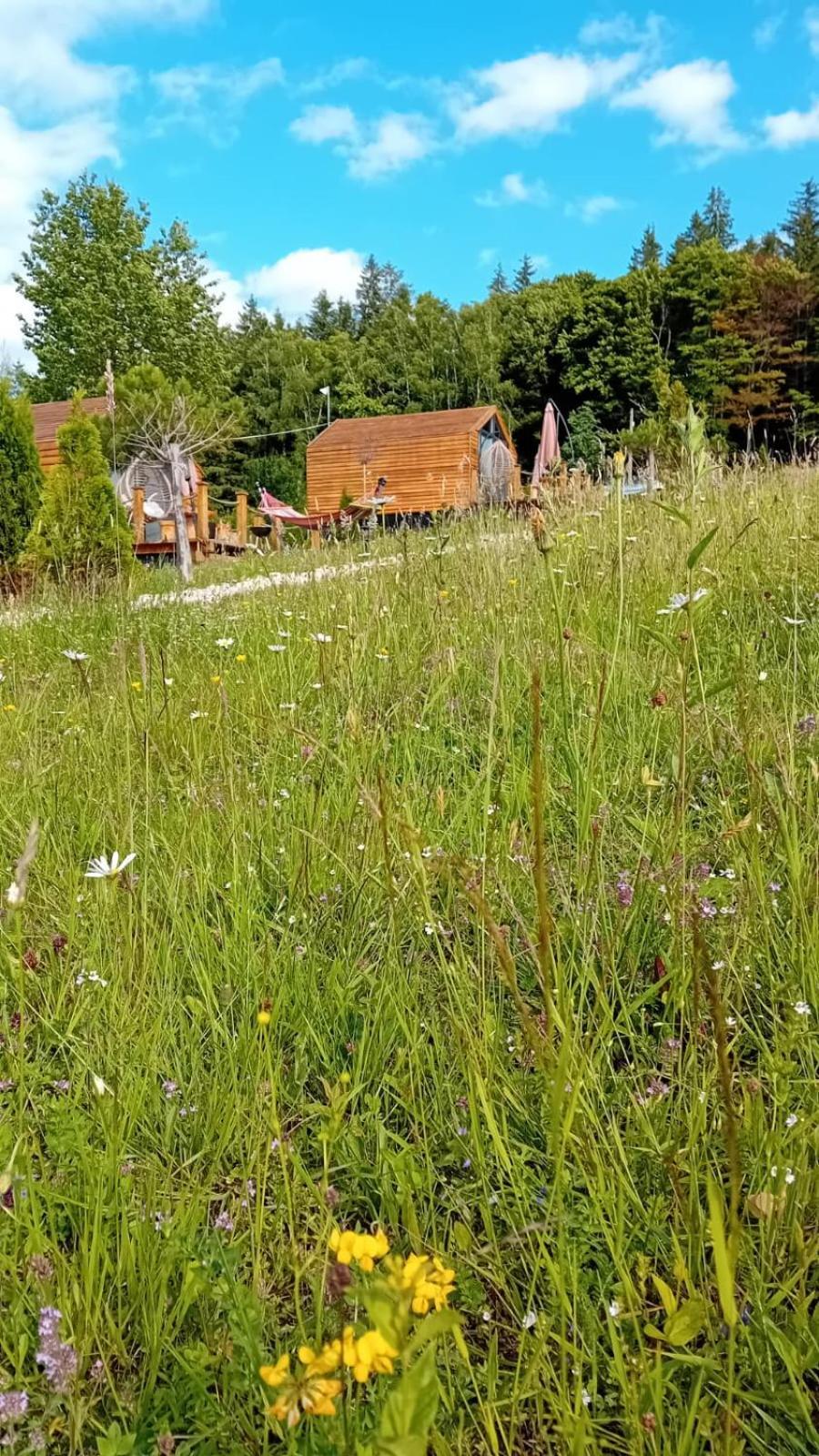 My Little Village Poiana Marului  Luaran gambar